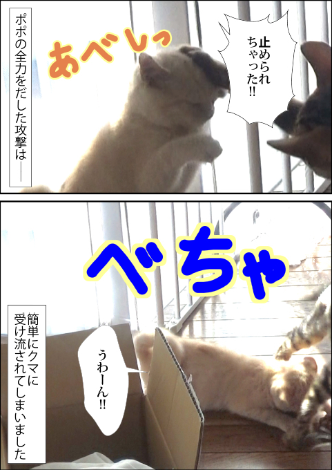 f:id:kuma_and_popo:20190426124027j:plain