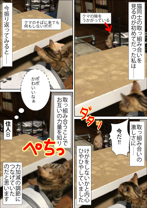 f:id:kuma_and_popo:20190426124235j:plain