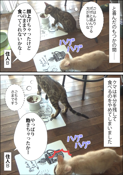 f:id:kuma_and_popo:20190501143211j:plain