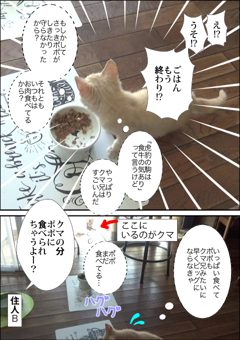 f:id:kuma_and_popo:20190501145204j:plain