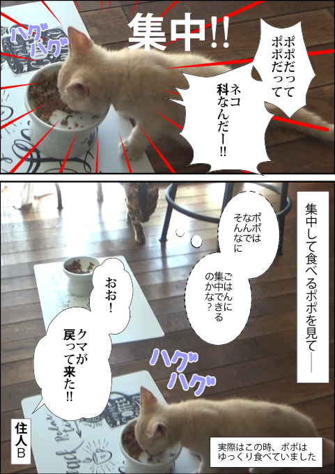 f:id:kuma_and_popo:20190501151514j:plain