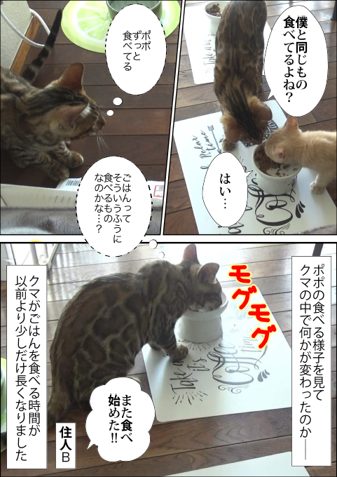 f:id:kuma_and_popo:20190501151547j:plain