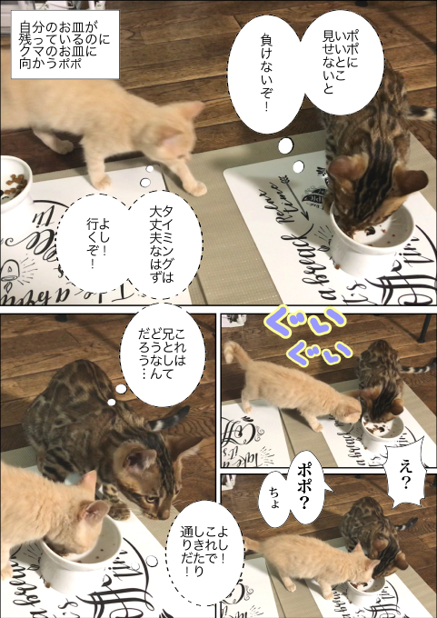 f:id:kuma_and_popo:20190501151627j:plain