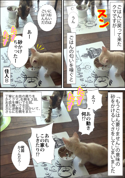 f:id:kuma_and_popo:20190501163902j:plain