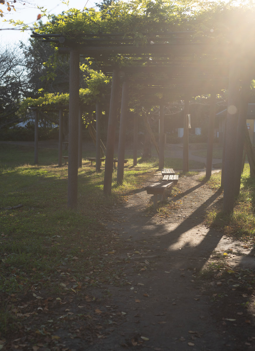 f:id:kuma_w:20201124224825j:plain