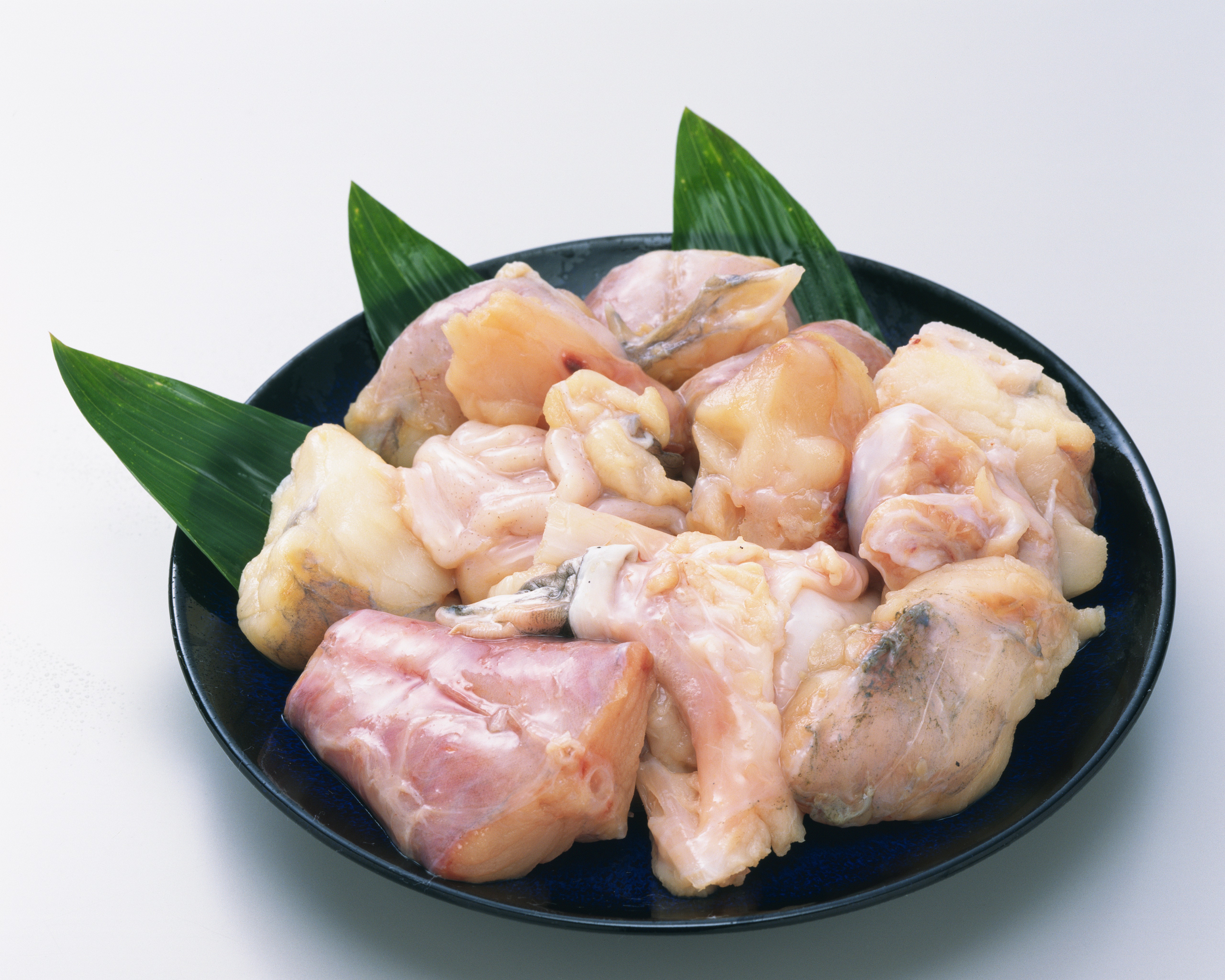 個別「[素材集][魚介類][新鮮][350dpi]」の写真、画像 - 素材集 - Nodoca's photo life