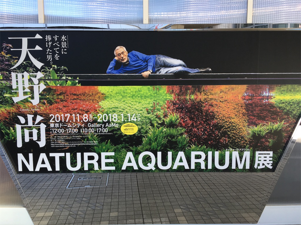 f:id:kumabou2016:20180119075101j:image