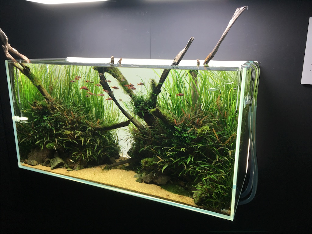 f:id:kumabou2016:20180119163253j:image