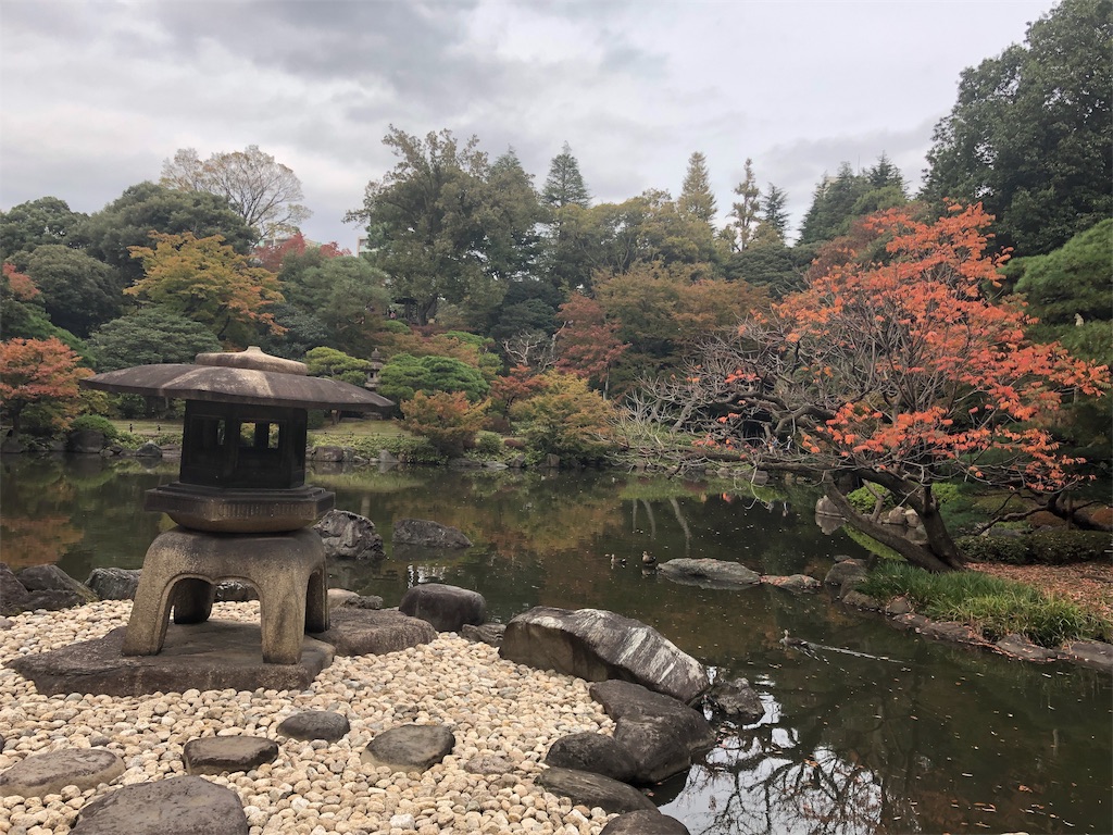 f:id:kumabou2016:20181118164514j:image f:id:kumabou2016:20181118164514j:image