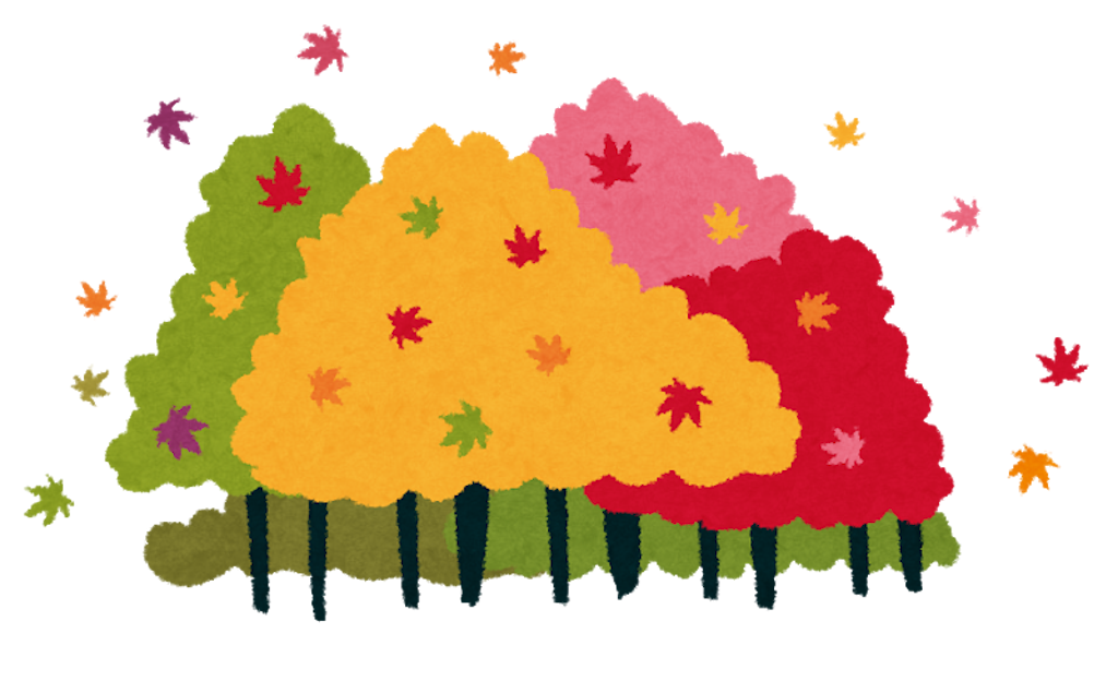 f:id:kumabou2016:20181124190547p:image f:id:kumabou2016:20181124190547p:image