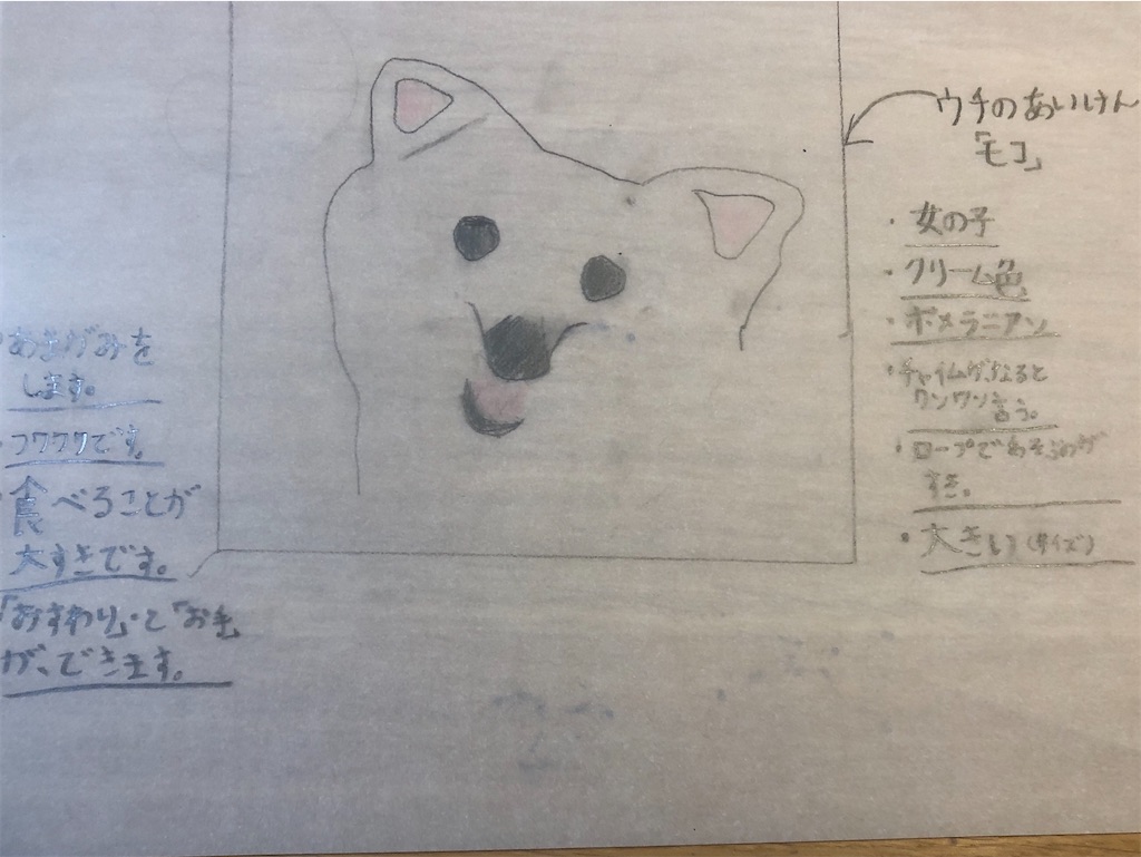 f:id:kumabou2016:20200613184518j:image