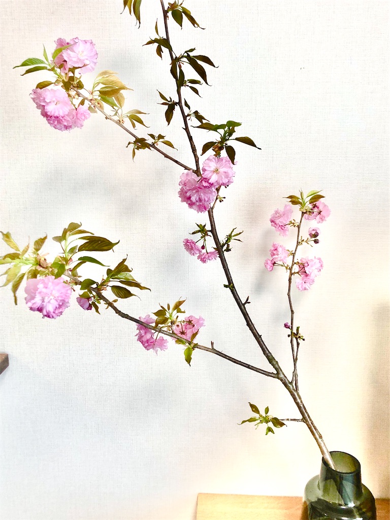 f:id:kumabou2016:20210410133306j:image