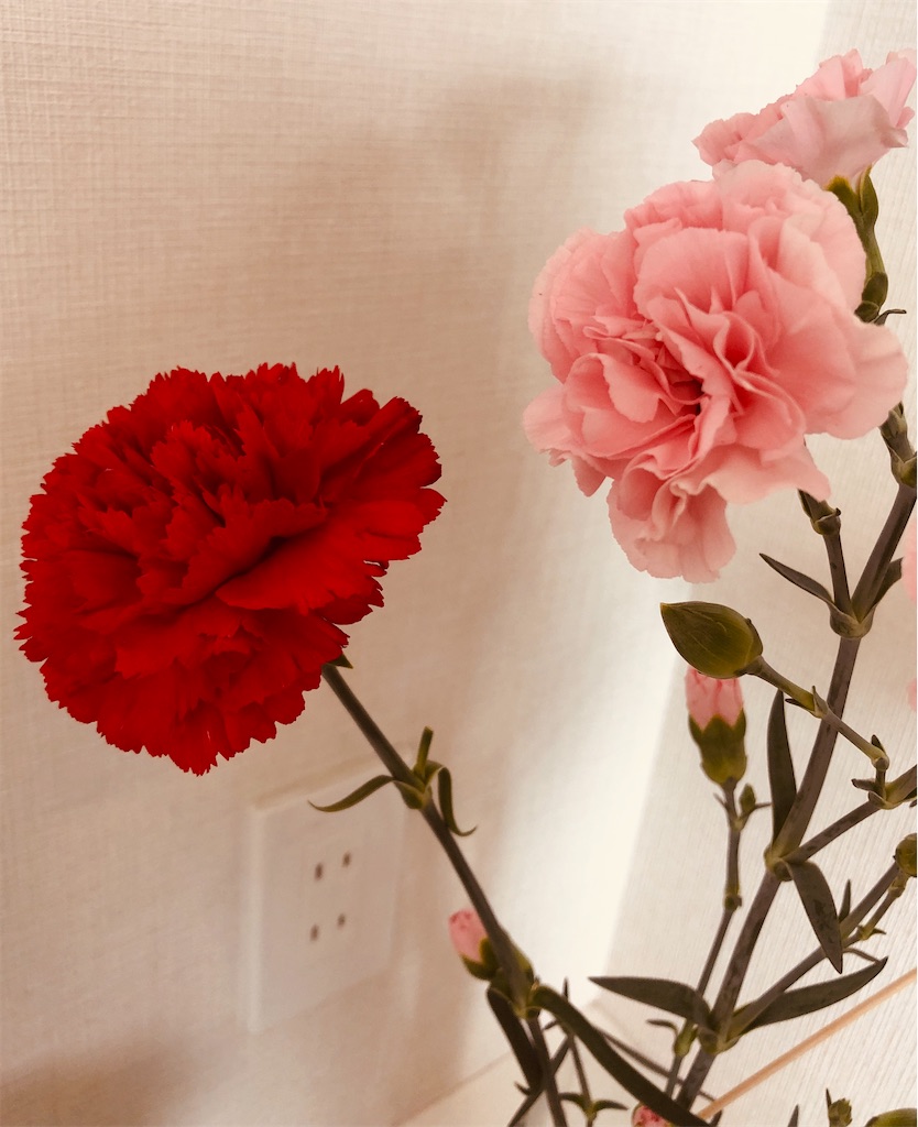 f:id:kumabou2016:20210509093825j:image