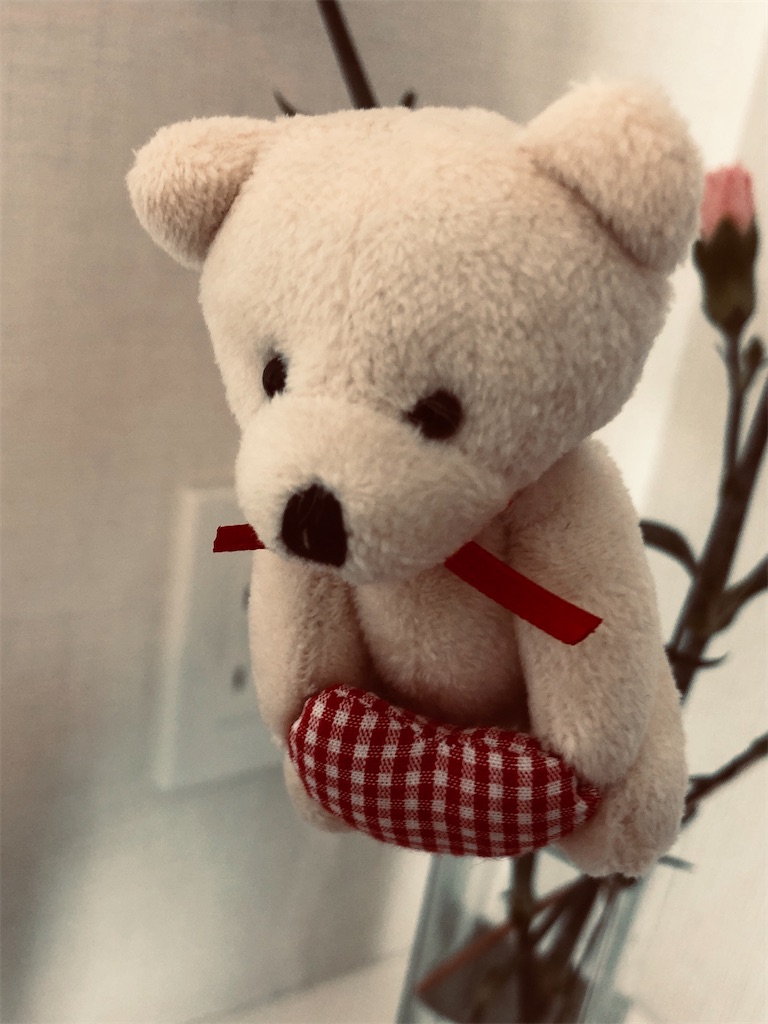 f:id:kumabou2016:20210509093837j:image