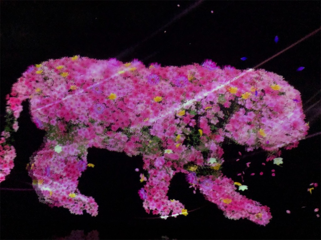 f:id:kumabou2016:20210716090947j:image f:id:kumabou2016:20210716090947j:image