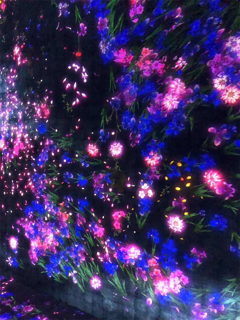 f:id:kumabou2016:20210716092408j:image f:id:kumabou2016:20210716092408j:image