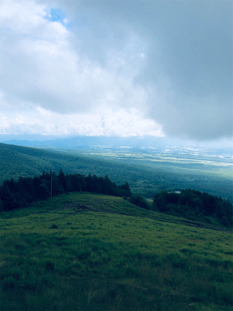 f:id:kumabou2016:20210801105547j:image