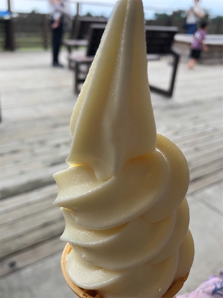 f:id:kumabou2016:20210801114352j:image