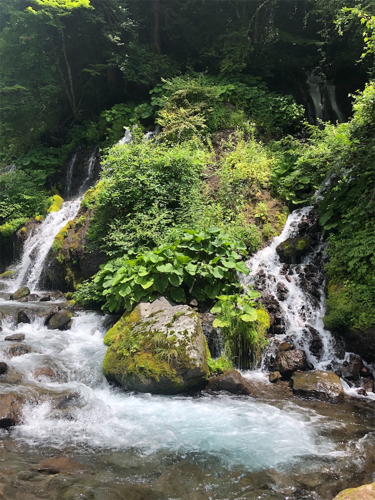 f:id:kumabou2016:20210801114447j:image