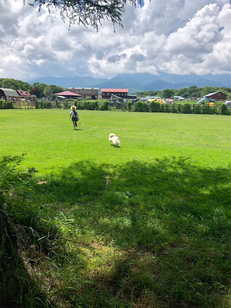 f:id:kumabou2016:20210801120625j:image