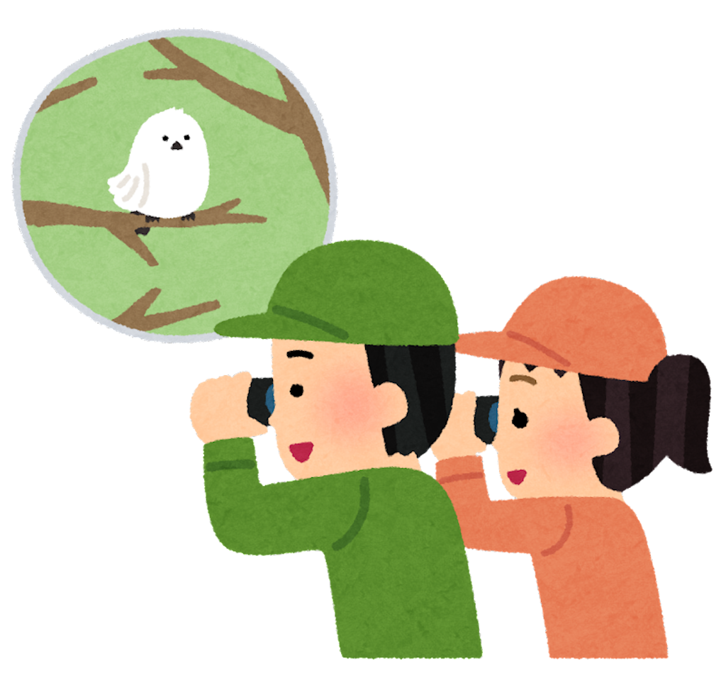f:id:kumabou2016:20211001110411p:image f:id:kumabou2016:20211001110411p:image