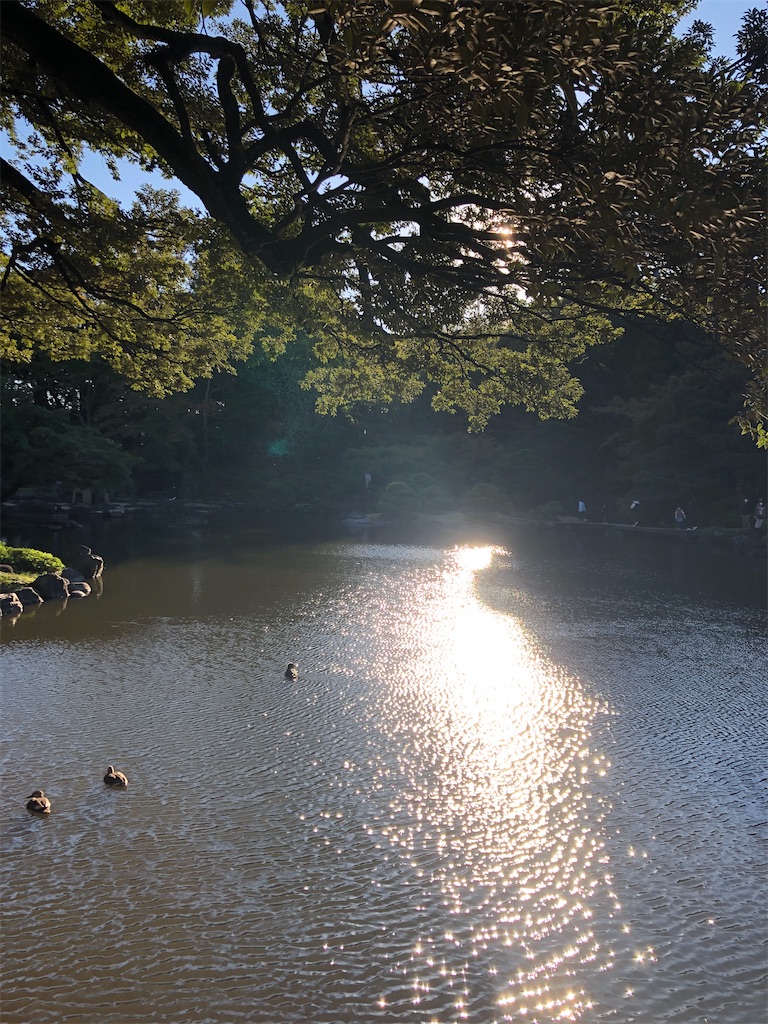 f:id:kumabou2016:20211023211600j:image