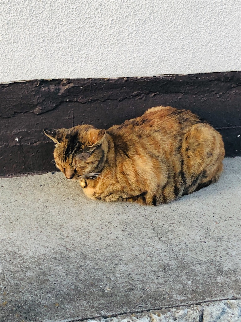 f:id:kumabou2016:20211028165517j:image