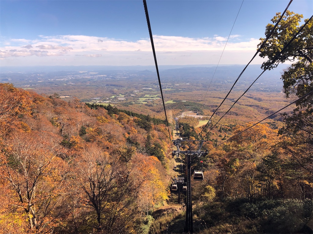 f:id:kumabou2016:20211104170906j:image