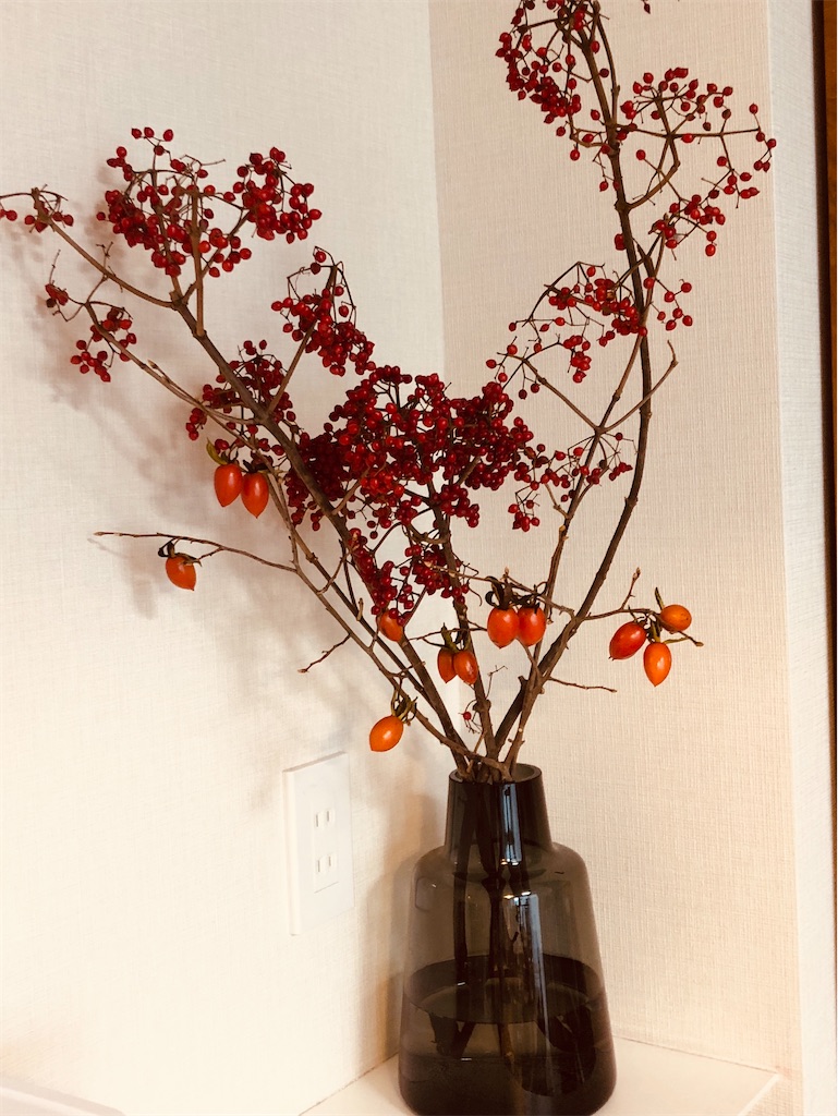 f:id:kumabou2016:20211112204127j:image