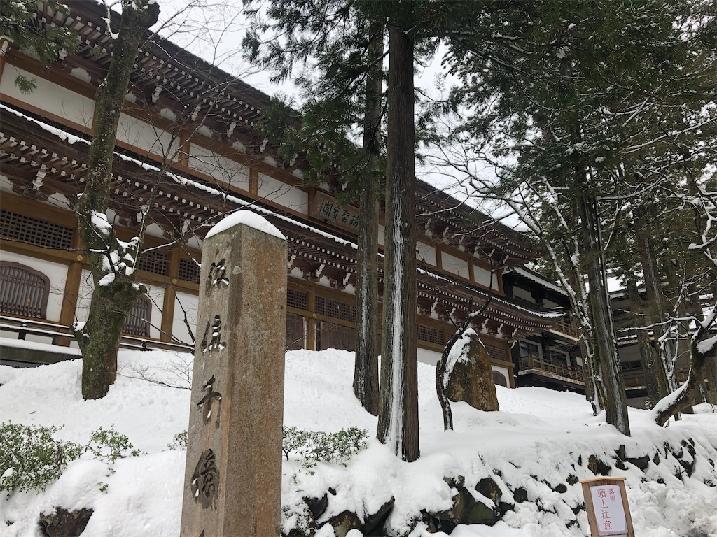 f:id:kumabou2016:20220119234238j:image