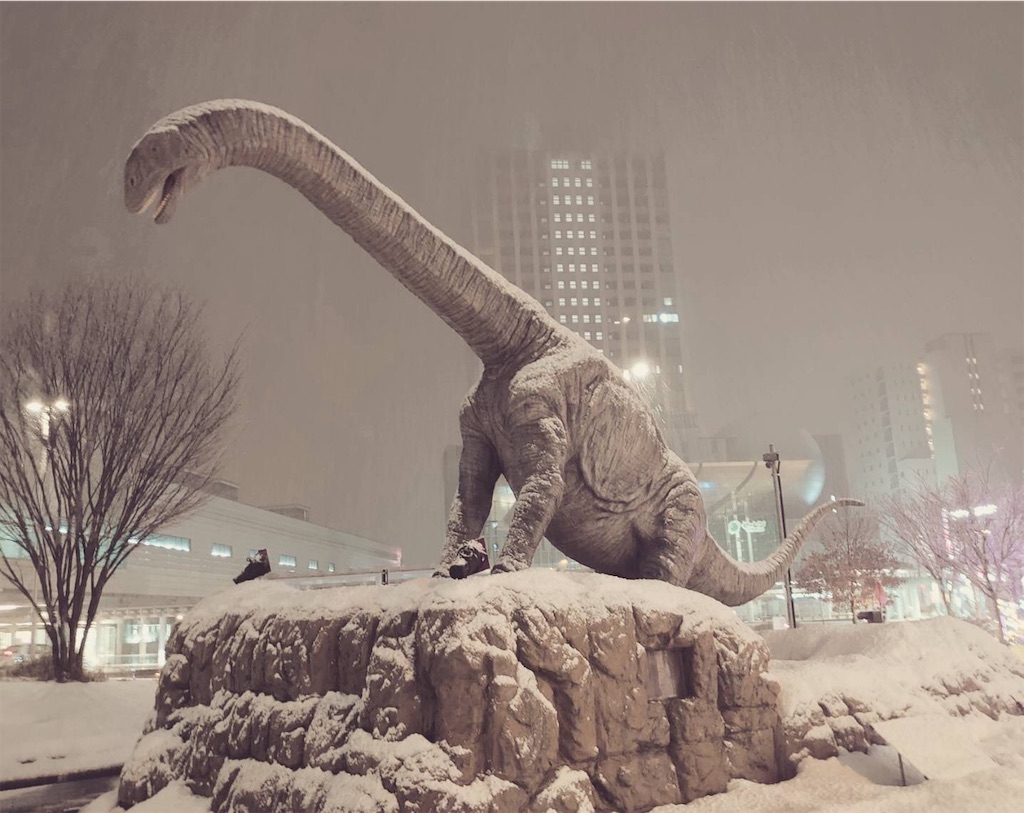 f:id:kumabou2016:20220119234244j:image