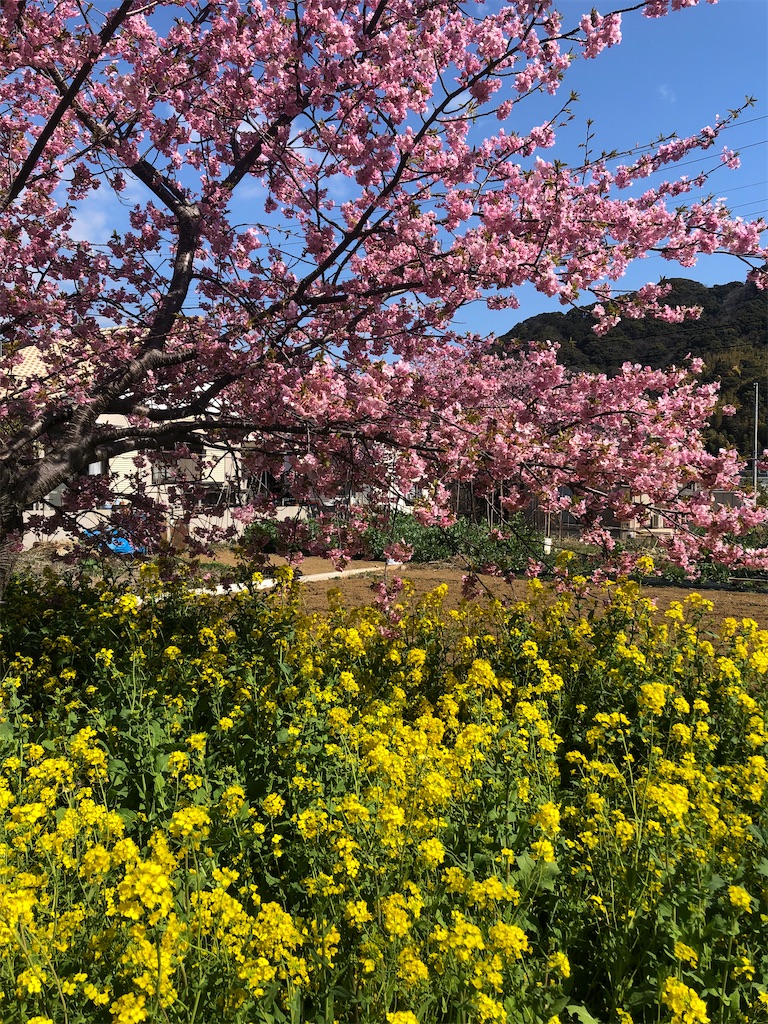 f:id:kumabou2016:20220305150246j:image