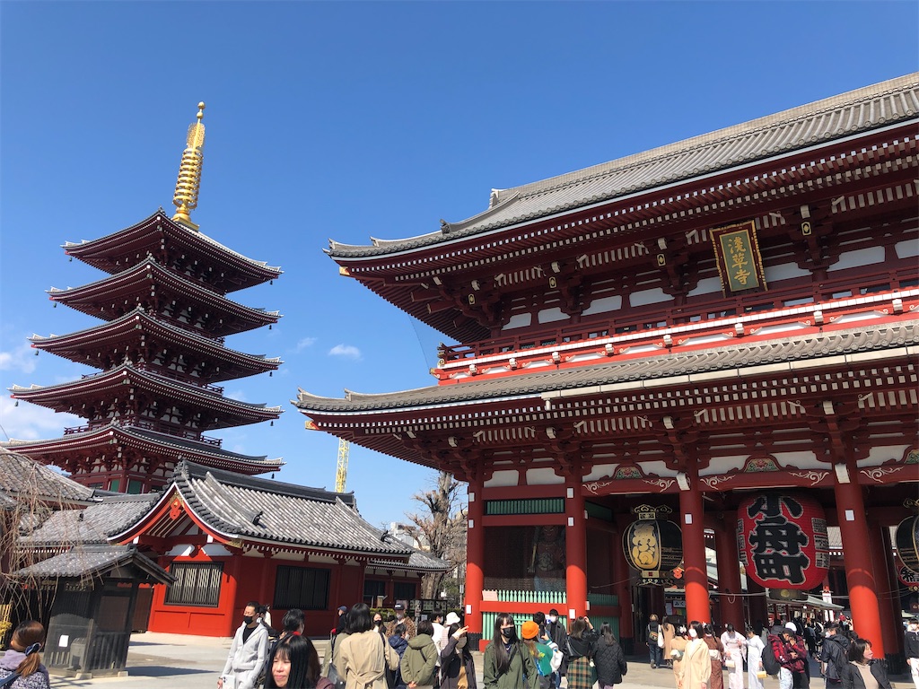 f:id:kumabou2016:20220321113314j:image