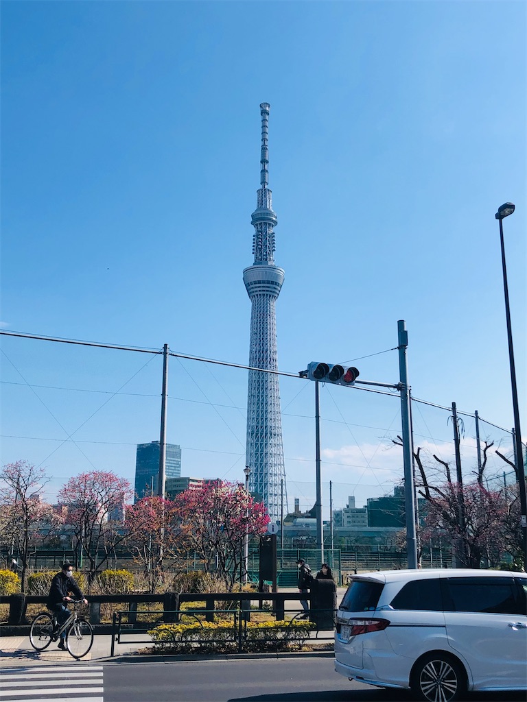 f:id:kumabou2016:20220321113325j:image