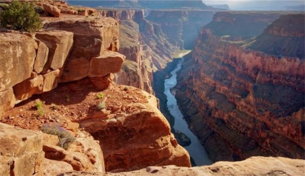 f:id:kumabou2016:20220329104226j:image