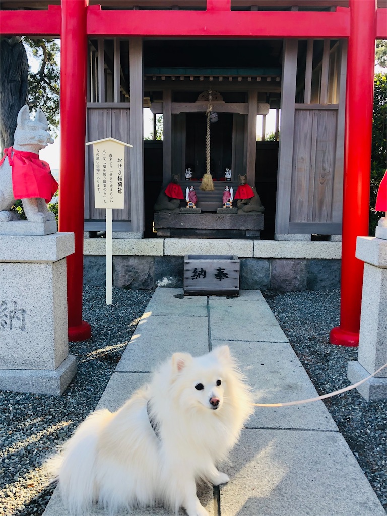 f:id:kumabou2016:20220501060754j:image