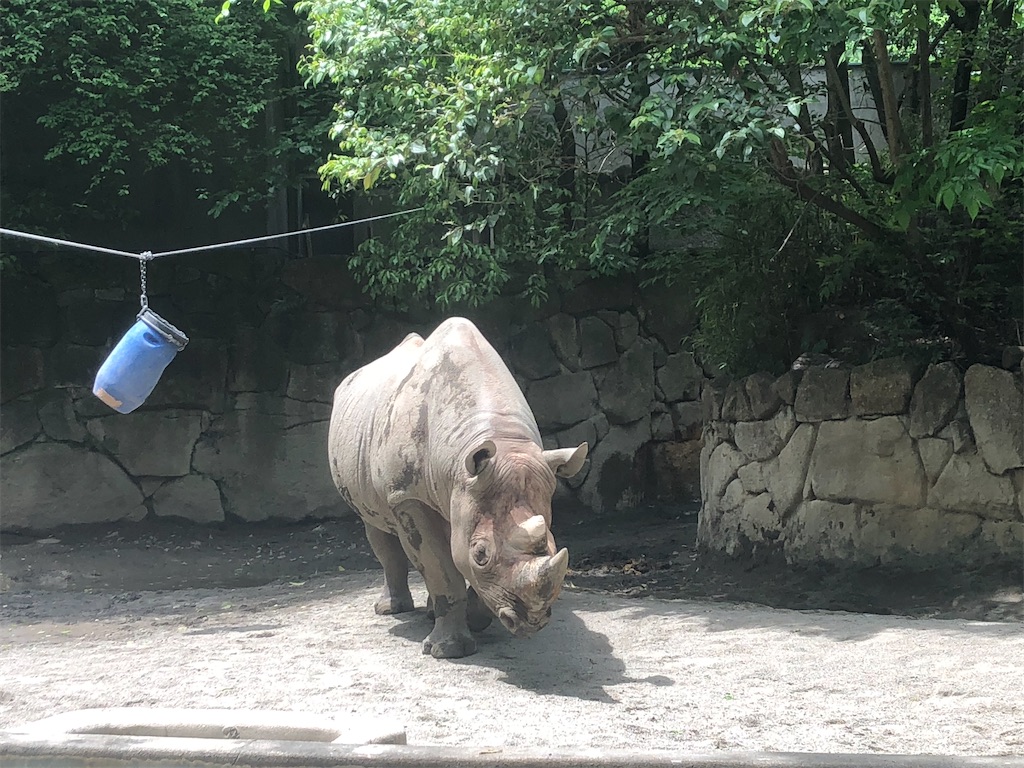 f:id:kumabou2016:20220507100806j:image