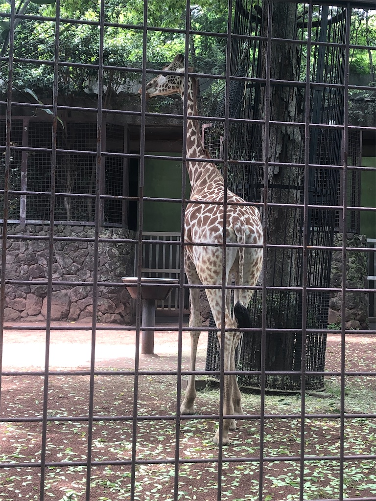 f:id:kumabou2016:20220507100814j:image