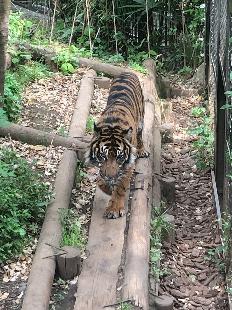 f:id:kumabou2016:20220507100900j:image