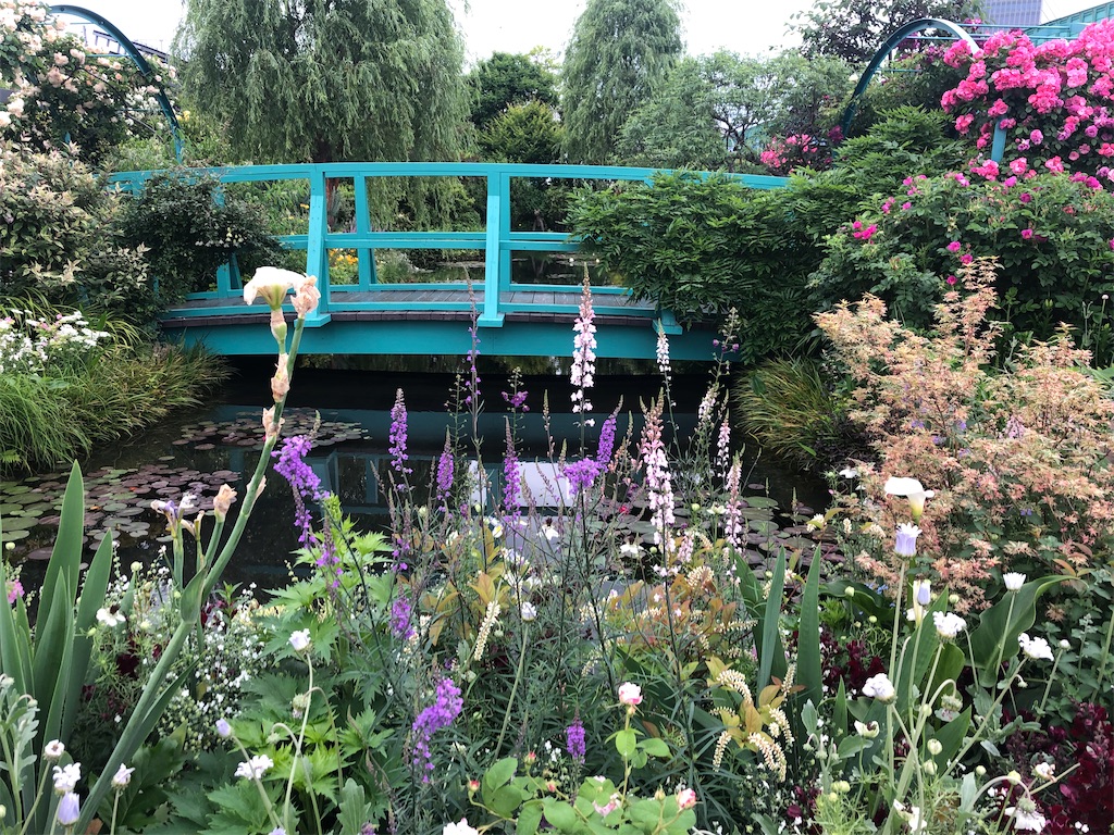 f:id:kumabou2016:20220519143248j:image