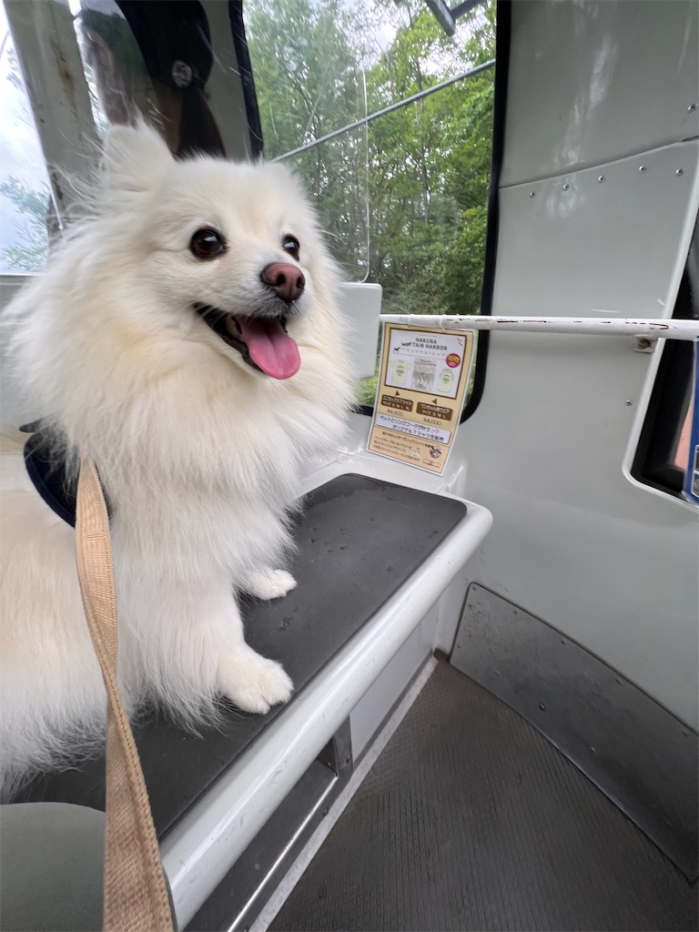 f:id:kumabou2016:20220730124452j:image