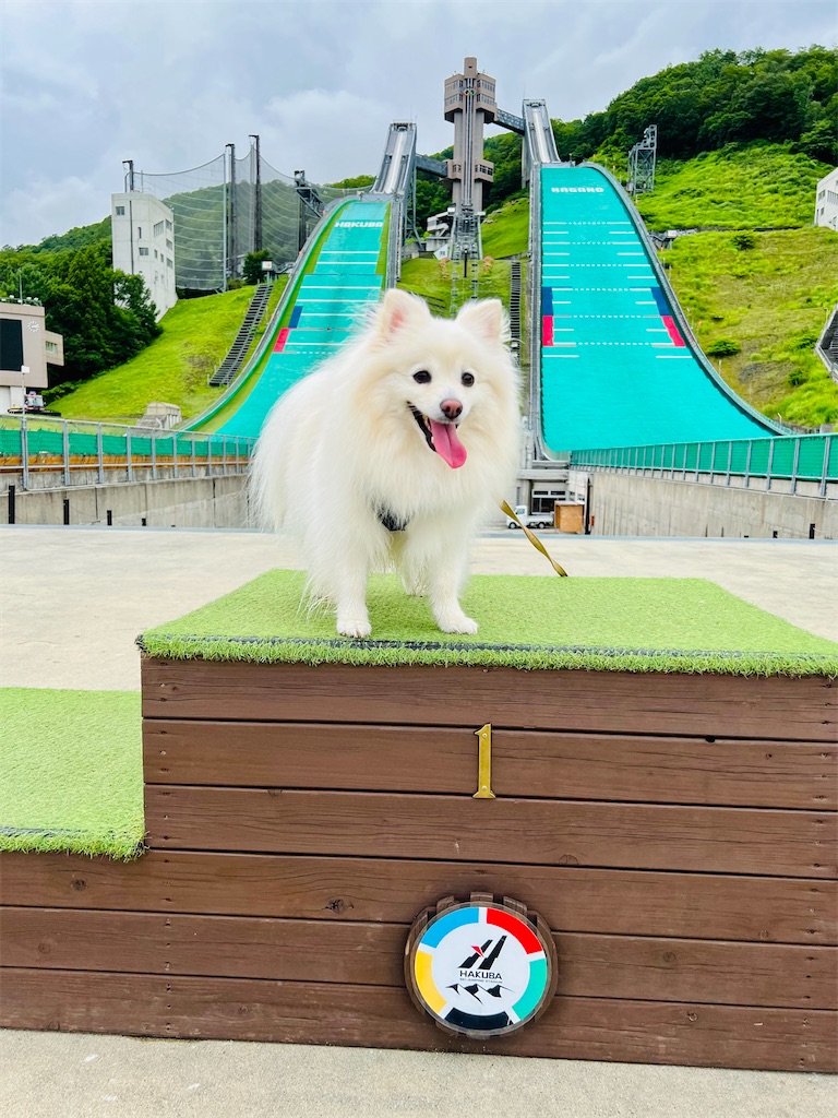 f:id:kumabou2016:20220730132404j:image