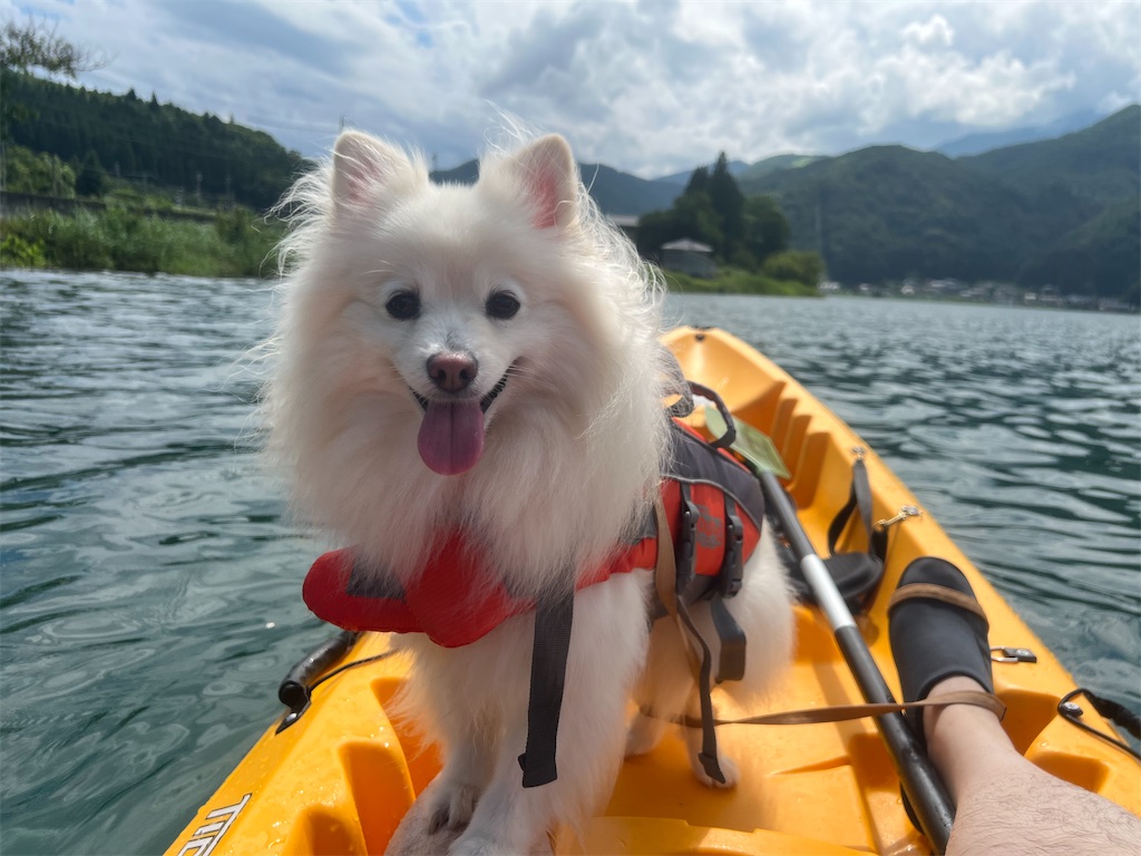 f:id:kumabou2016:20221118223717j:image