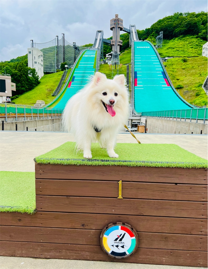 f:id:kumabou2016:20221118223726j:image