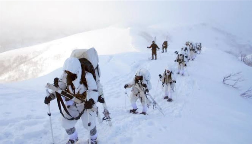 f:id:kumabou2016:20221120140331j:image f:id:kumabou2016:20221120140331j:image