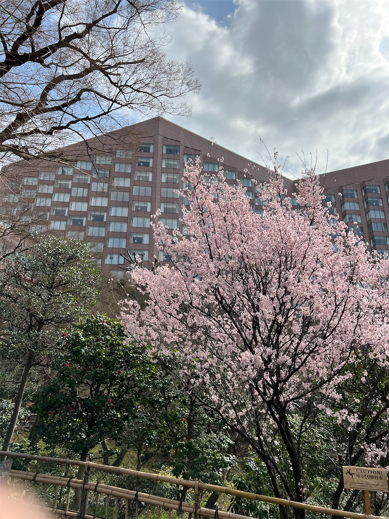 f:id:kumabou2016:20230406232615j:image