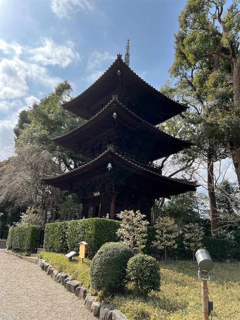 f:id:kumabou2016:20230406232629j:image