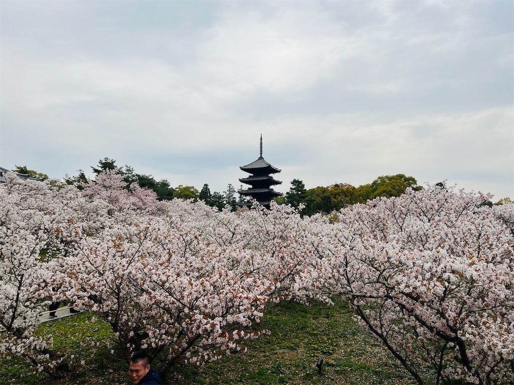 f:id:kumabou2016:20230408001123j:image