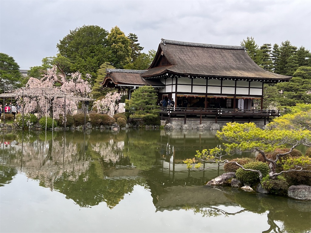 f:id:kumabou2016:20230412214808j:image