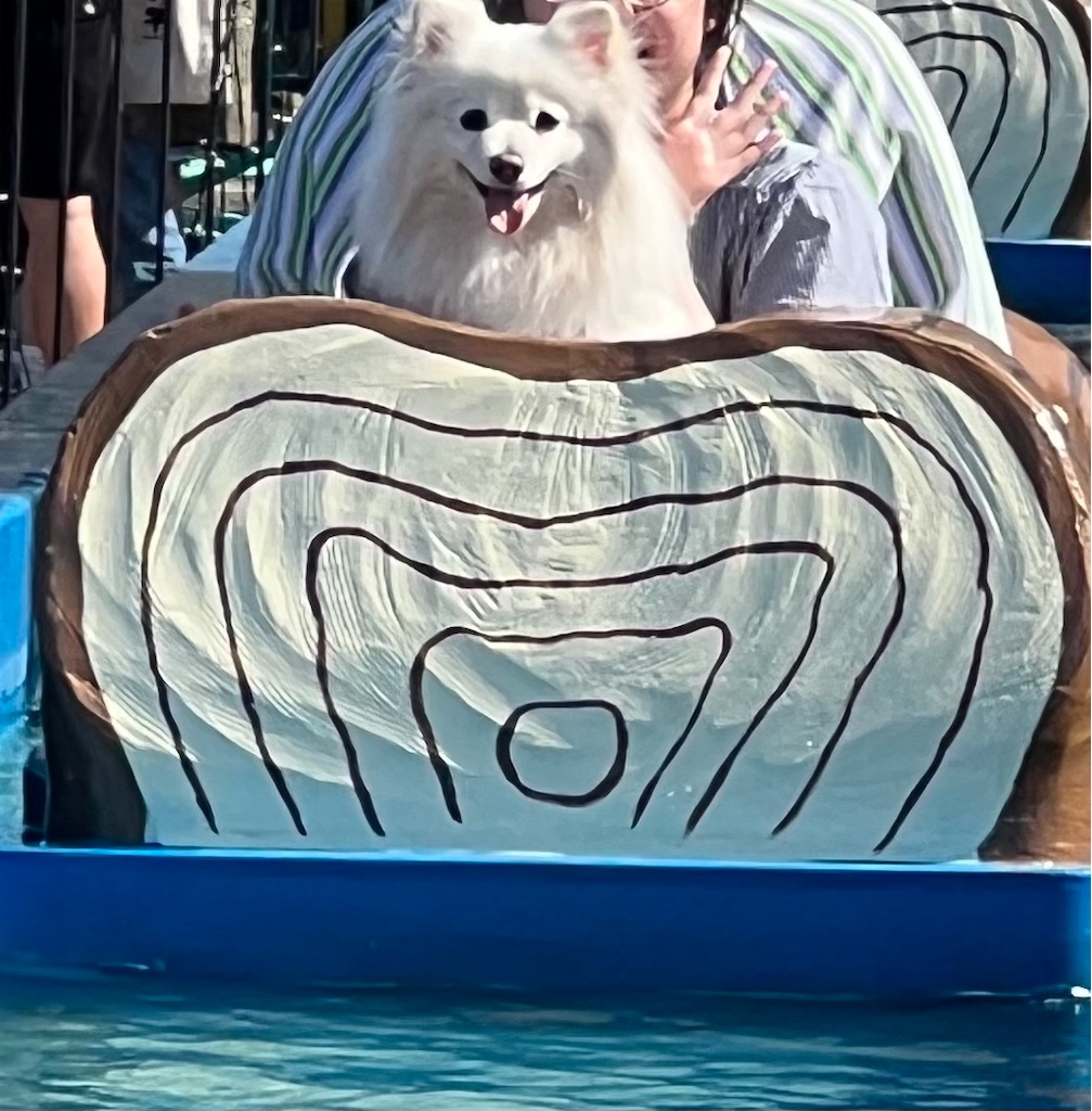 f:id:kumabou2016:20230504145820j:image